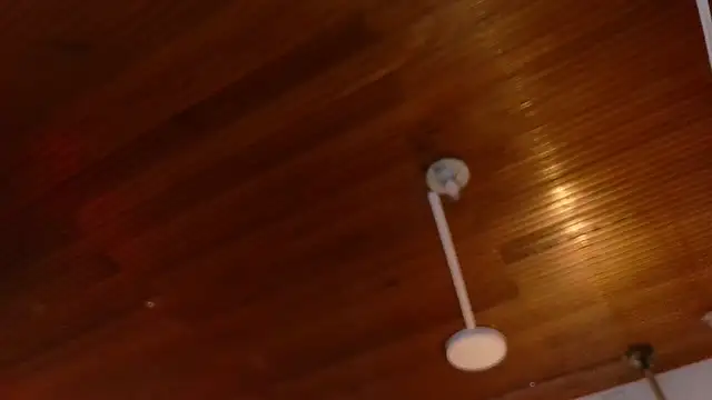 melissa  dolce online show from March 23, 2026, 3:28 am