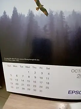 Snapshot of Kolkatacock06 chatting on October 24, 2025, 2:05 pm Kolkatacock06 online show from October 24, 2025, 2:05 pm