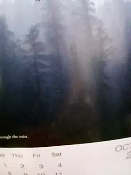 Snapshot of Kolkatacock06 chatting on October 26, 2025, 6:08 pm Kolkatacock06 online show from October 26, 2025, 6:08 pm