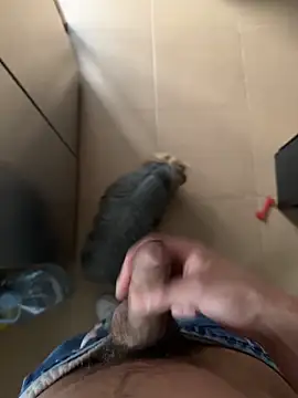 findomhot online show from February 4, 2026, 3:51 pm