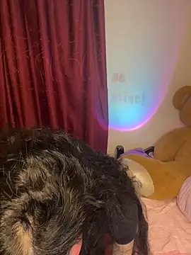 Snapshot of wetbyAlice chatting on February 20, 2026, 12:51 am wetbyAlice online show from February 20, 2026, 12:51 am