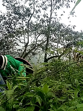 Phoena-a online show from March 24, 2026, 2:22 am