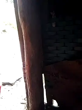 doggy-00 online show from July 16, 2026, 1:02 am