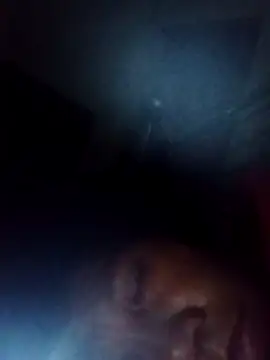 bella-la online show from November 22, 2025, 11:03 pm