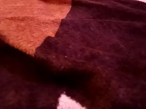 bigtelugubhama online show from February 7, 2026, 8:28 pm