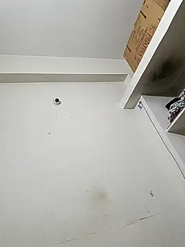 bigtelugubhama online show from December 14, 2025, 11:54 pm