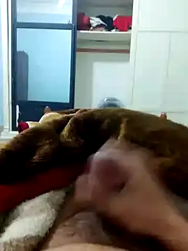 Snapshot of Ayoub_ben27 chatting on March 11, 2026, 10:59 pm Ayoub ben27 online show from March 11, 2026, 10:59 pm