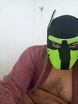 RobeBear online show from February 26, 2026, 5:13 pm