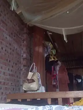 Snapshot of HGiasexy69 chatting on December 22, 2025, 7:52 am HGiasexy69 online show from December 22, 2025, 7:52 am