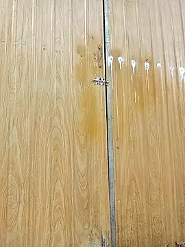 matbiec- online show from December 21, 2025, 1:52 am