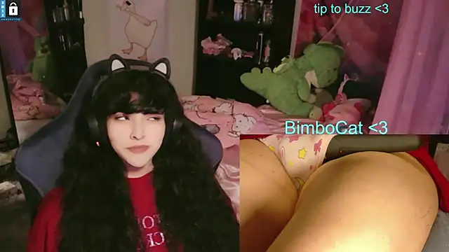 BimboCat online show from June 13, 2026, 8:07 pm