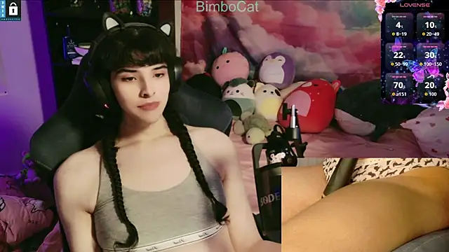 BimboCat online show from November 17, 2025, 2:15 am