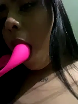 Belka14 online show from December 14, 2025, 4:08 am