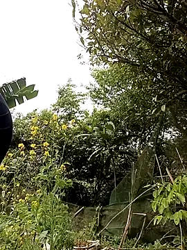 Snapshot of Alice-567 chatting on March 10, 2026, 6:28 am Alice-567 online show from March 10, 2026, 6:28 am