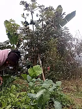 Alice-567 online show from January 11, 2026, 9:27 am