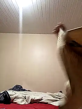 Snapshot of arybiten chatting on February 10, 2026, 10:14 am arybiten online show from February 10, 2026, 10:14 am