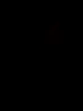 KARNEs24666 online show from November 26, 2025, 8:58 am