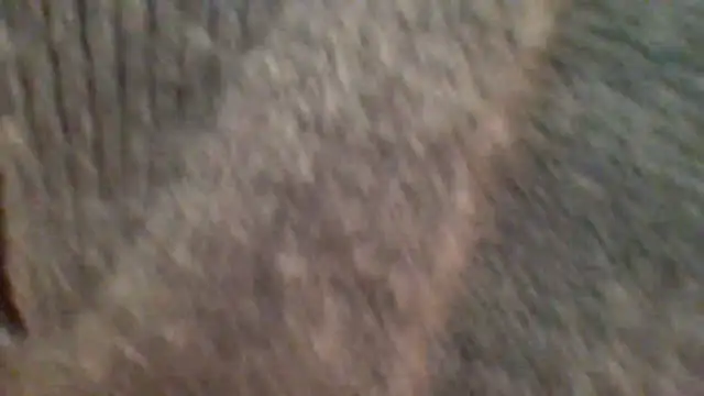 metissjeunn online show from February 8, 2026, 5:43 pm