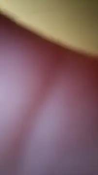 Snapshot of Ira_95 chatting on November 8, 2025, 9:51 pm Ira 95 online show from November 8, 2025, 9:51 pm