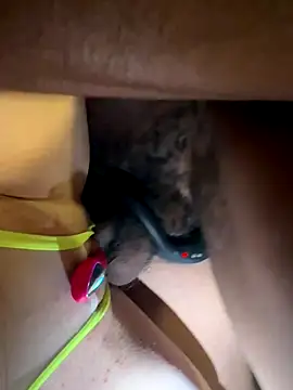 Snapshot of secretknight_Mrmask chatting on November 22, 2025, 7:18 am secretknight Mrmask online show from November 22, 2025, 7:18 am