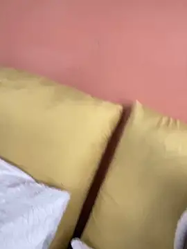 Snapshot of Aurinia chatting on November 4, 2025, 8:18 am Aurinia online show from November 4, 2025, 8:18 am