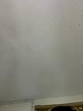 gatito polo69 online show from January 6, 2026, 2:04 am