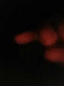 bruno 324278 online show from May 10, 2026, 4:05 am