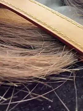 Snapshot of Cara-02 chatting on November 19, 2025, 4:34 am Cara-02 online show from November 19, 2025, 4:34 am