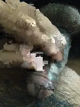 Snapshot of its__aaru chatting on November 8, 2025, 3:26 pm its aaru online show from November 8, 2025, 3:26 pm