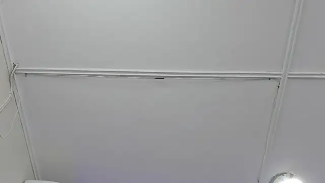 trevor belmontt online show from November 26, 2025, 2:55 am