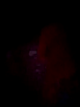 Snapshot of jacka_305 chatting on November 22, 2025, 10:36 am jacka 305 online show from November 22, 2025, 10:36 am