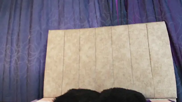 Sofi-Brown online show from December 22, 2025, 3:23 pm