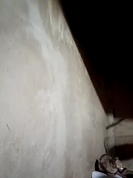 blonde blg online show from March 17, 2026, 4:48 am