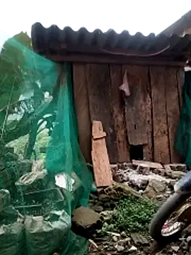 blonde blg online show from March 26, 2026, 11:24 pm