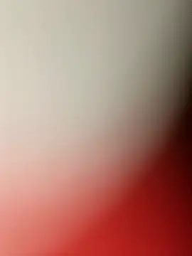 MonasticCanine online show from December 22, 2025, 1:06 am