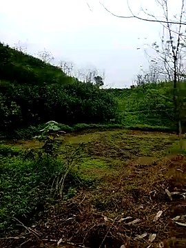 Snapshot of Cloud-wh chatting on March 5, 2026, 12:40 am Cloud-wh online show from March 5, 2026, 12:40 am