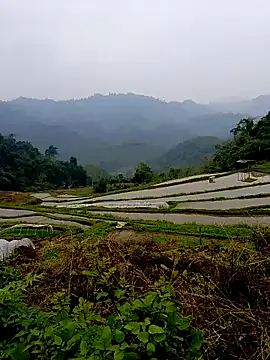 Snapshot of Cloud-wh chatting on March 14, 2026, 2:39 am Cloud-wh online show from March 14, 2026, 2:39 am