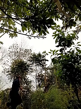 -Chua-90 online show from February 25, 2026, 10:37 am