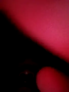 indiandesicpl2026 online show from November 24, 2025, 9:04 pm