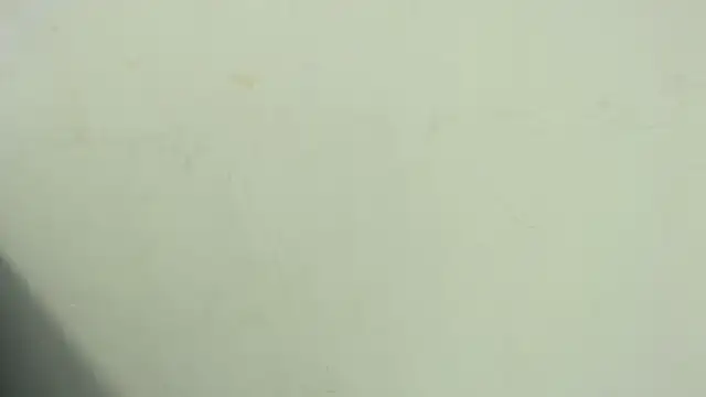 thiagoramirez  online show from November 11, 2025, 1:11 am