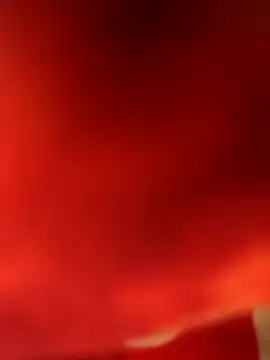 Snapshot of Ragner-6_9 chatting on March 9, 2026, 8:01 pm Ragner-6 9 online show from March 9, 2026, 8:01 pm