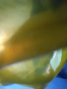 Snapshot of chim-yen chatting on November 19, 2025, 3:50 am chim-yen online show from November 19, 2025, 3:50 am