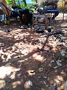 joselo2217 online show from November 26, 2025, 4:51 pm