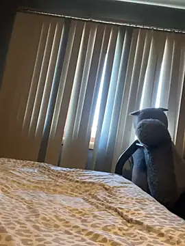 mouse- online show from February 13, 2026, 9:26 pm