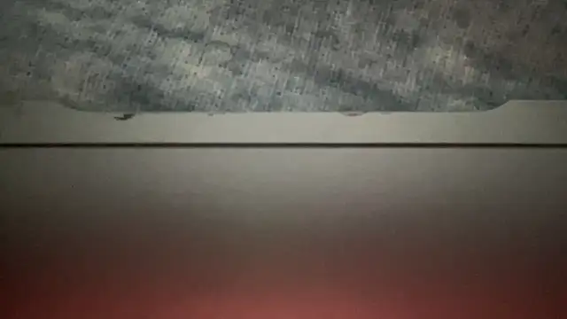 Phil-jae online show from November 17, 2025, 3:10 am