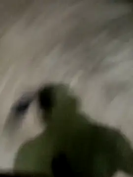 Snapshot of spermc chatting on November 27, 2025, 4:18 pm spermc online show from November 27, 2025, 4:18 pm