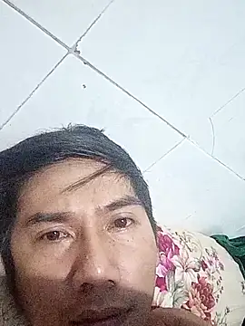 ptc 2588 online show from November 24, 2025, 12:54 am