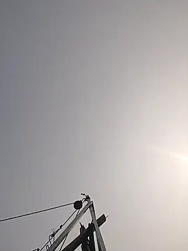 Cover-baa online show from March 27, 2026, 7:39 am