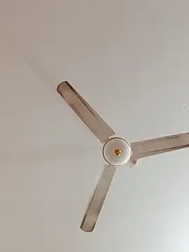 rupamim online show from December 22, 2025, 11:54 am