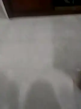 Snapshot of Zaginer chatting on November 20, 2025, 10:31 pm Zaginer online show from November 20, 2025, 10:31 pm